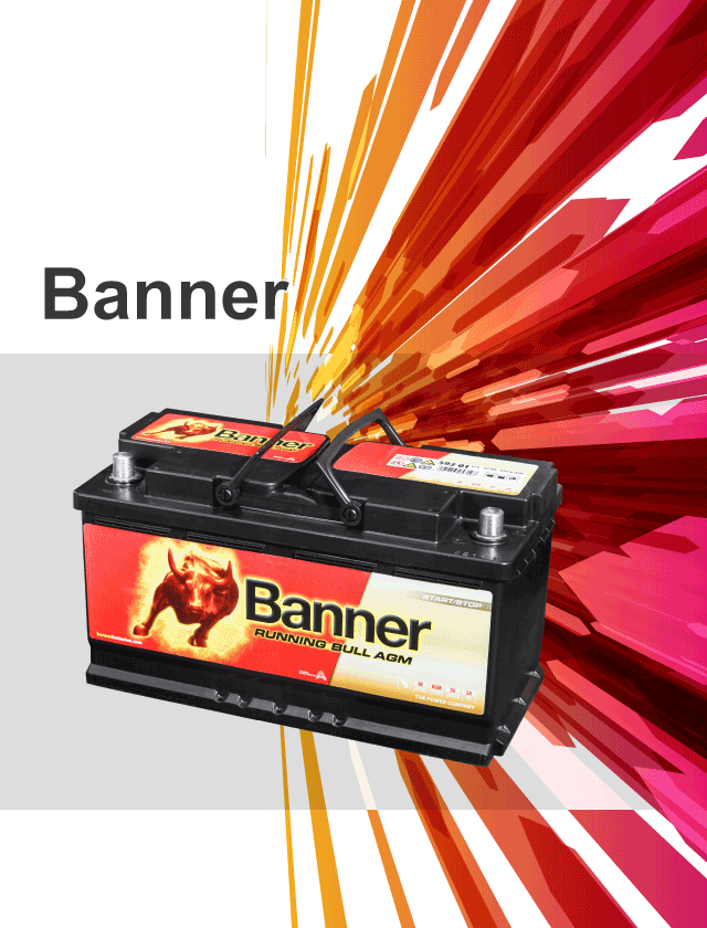 banner AGM battery